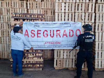 SSP y PROFEPA clausuran aserraderos en Chignahuapan y Aquixtla
