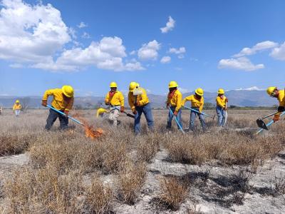 6e1c7b329ac70d04efce068567deaa96_M.jpg