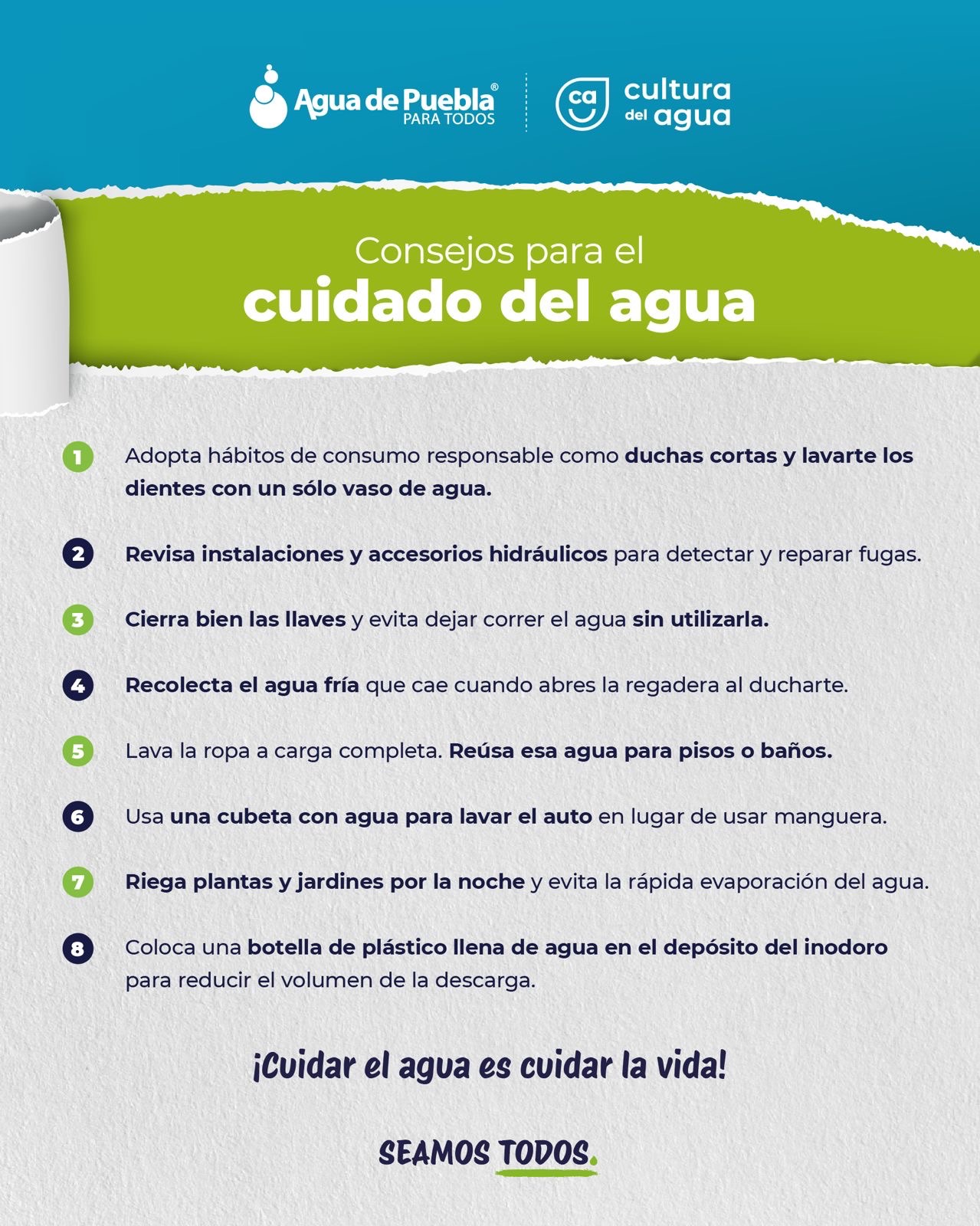 8da8a937-0af1-4c9f-bfd9-13e3415bee71-1.jpg