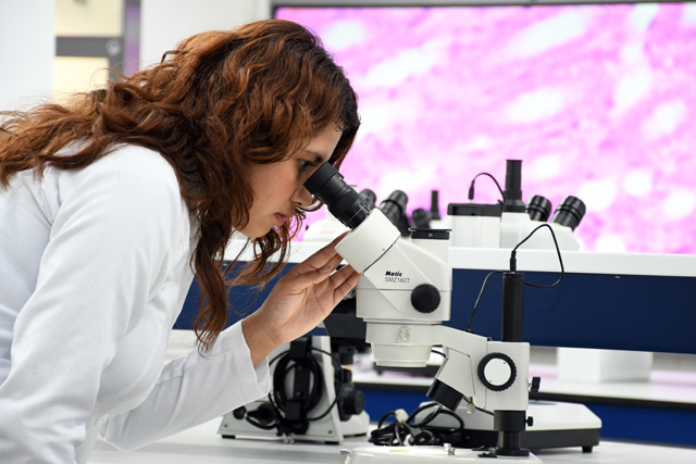 A_LaboratoriosCU2_1.jpg