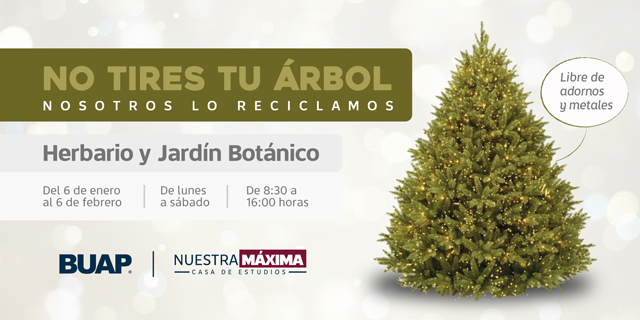 A_RecicladoArbol.jpg