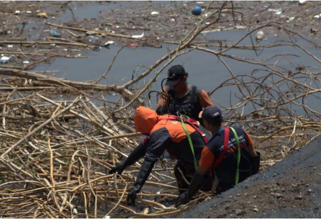 OSSL recoge basura