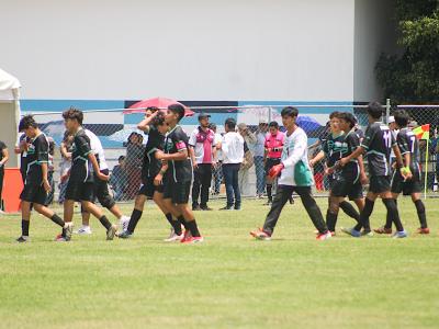 fe317b119408221323aed88b5ac1ac22_M.jpg