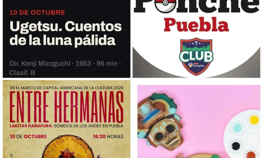 Gobierno de Pepe Chedraui impulsa la creatividad con talleres este fin de semana